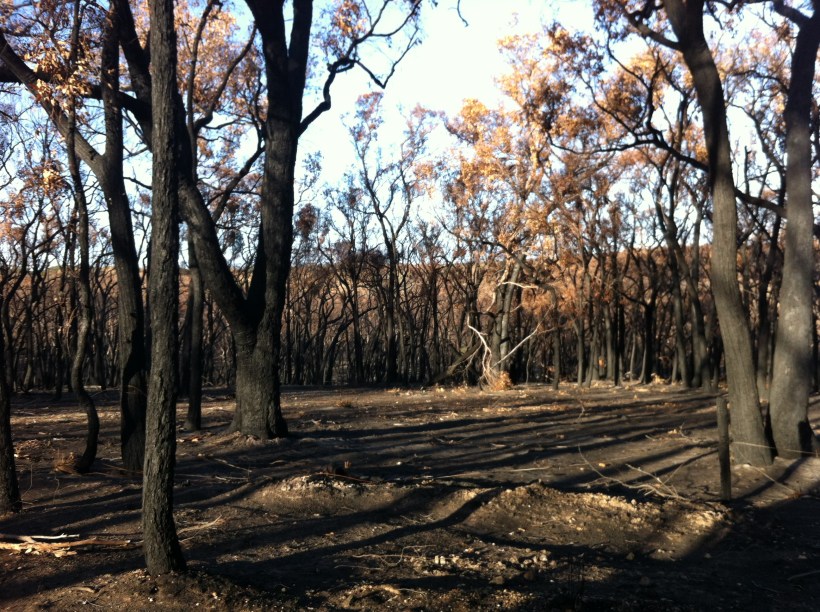 Dereel, Saturday 4th May